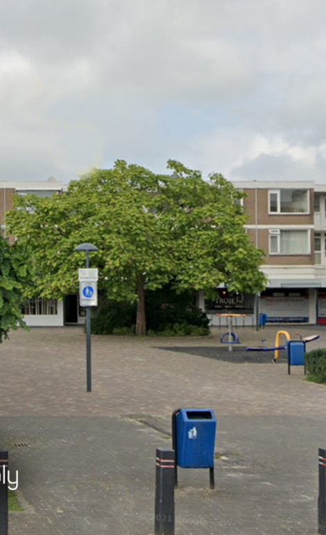 verlichte-boom-holierhoek-geschonken-ondernemers-vlaardingen-holy