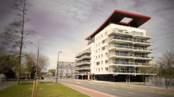 vlaardingen-kievit-devilder-zonneveld